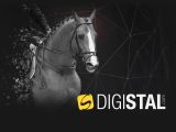 
A new web site for Haras des For&ecirc;ts
