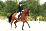 Haras de Hus : 1st qualification for the London Olympic Games