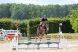 Cheval &agrave; vendre - samara de mazure