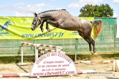 High Hopes du Fleuve SF