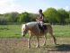 Cheval &agrave; vendre - Orane de Mai