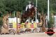 Cheval &agrave; vendre - Barry De La Fontaine sBs