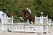 Cheval &agrave; vendre - toulon de la vall&eacute;e