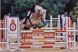 Cheval &agrave; vendre - Rosthan