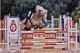 Cheval &agrave; vendre - Rosthan Haflinger